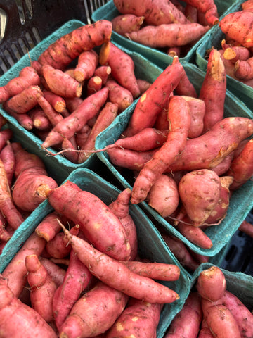 Sweet Potato, quart