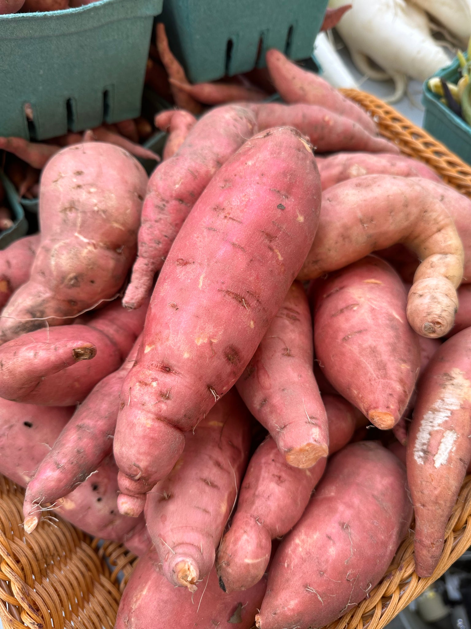 Sweet Potato, 1 pound